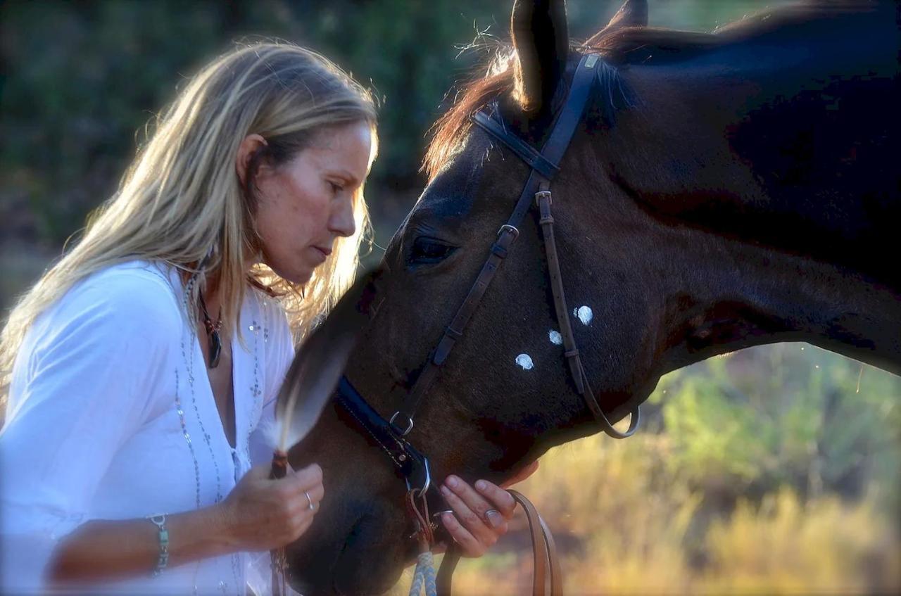 The Mountain Lion - Horses Sedona'S Most Loved Екстер'єр фото