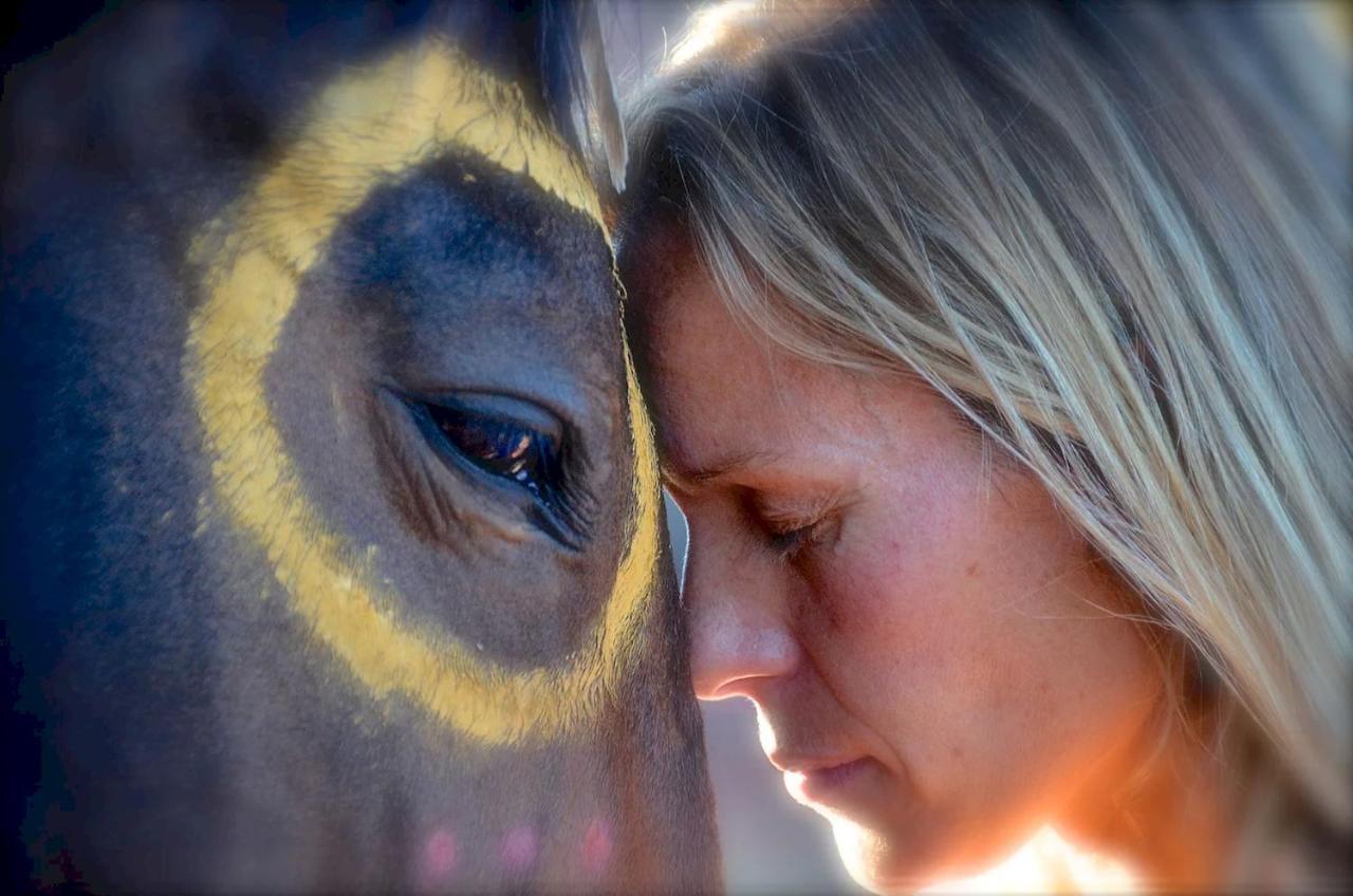 The Mountain Lion - Horses Sedona'S Most Loved Екстер'єр фото