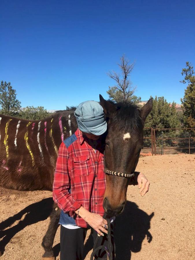The Mountain Lion - Horses Sedona'S Most Loved Екстер'єр фото