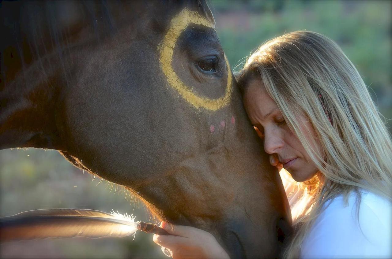 The Mountain Lion - Horses Sedona'S Most Loved Екстер'єр фото
